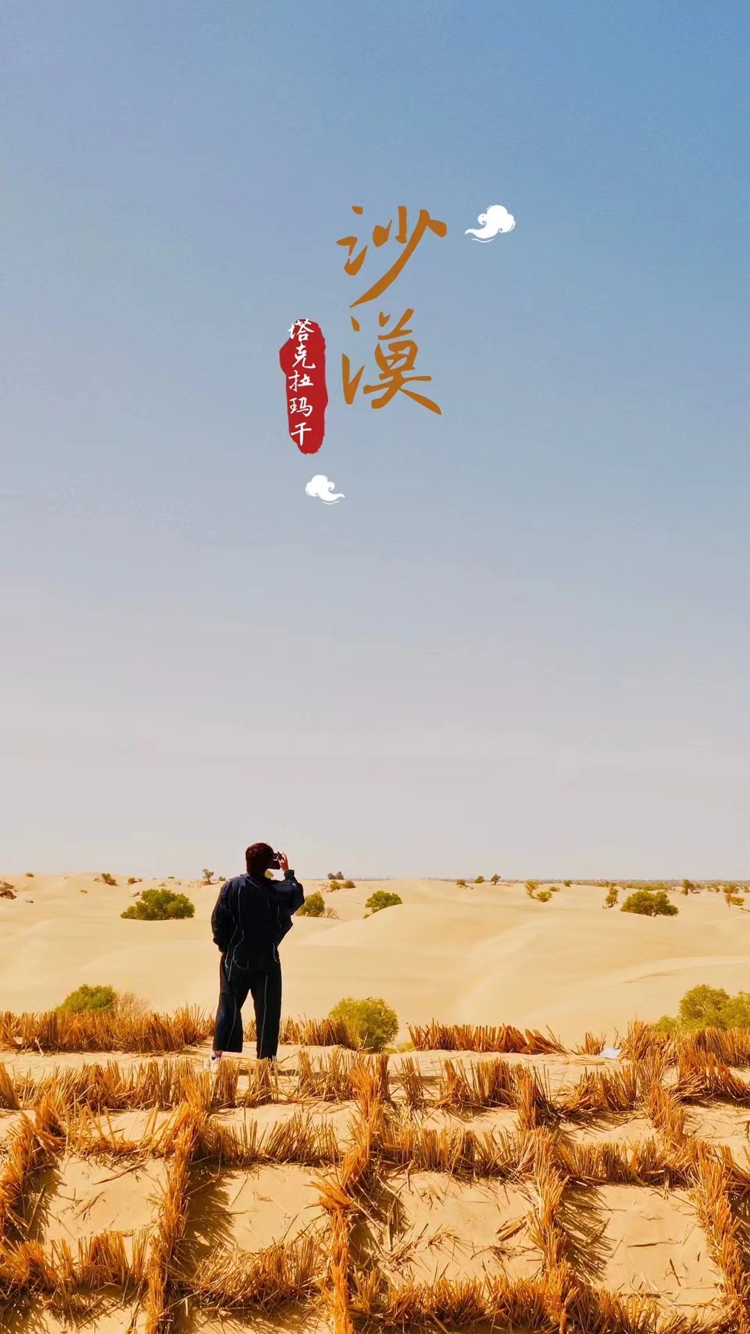 文化中国行｜环塔自驾游尽赏“大漠孤烟长河落日”(图2)