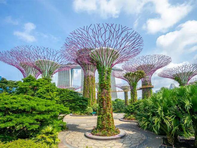 旅业速递2024春节出境游大数据“热辣滚烫”自驾游激增1556%(图1)