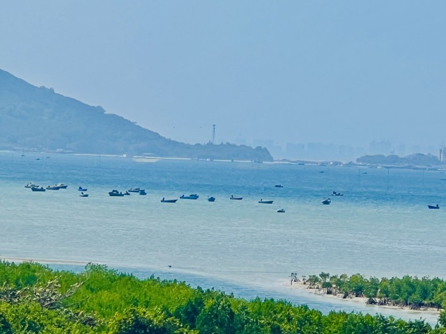 海南自驾游车主的离岛归途(图1)