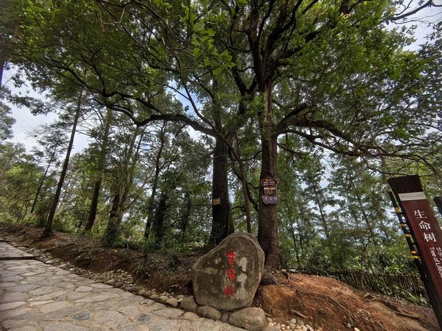 重庆到贵州自驾游6天5晚打卡6个景区这个旅游攻略绝对适合您(图16)