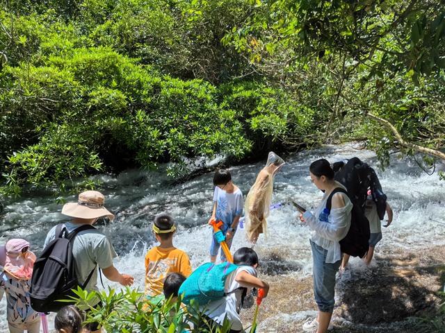 重庆到贵州自驾游6天5晚打卡6个景区这个旅游攻略绝对适合您(图26)