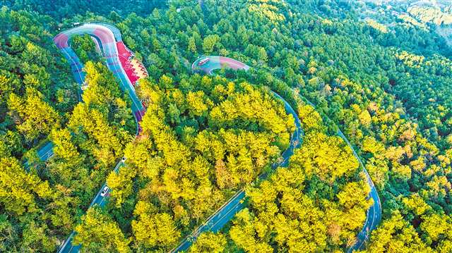 北碚“巴适”环线入围全国最美精品自驾路线(图1)