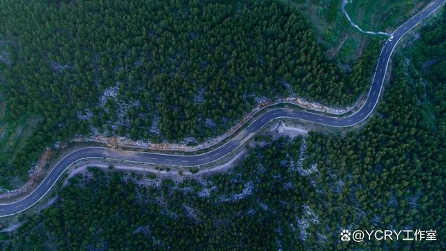 山东有哪些自驾游线路推荐(图5)