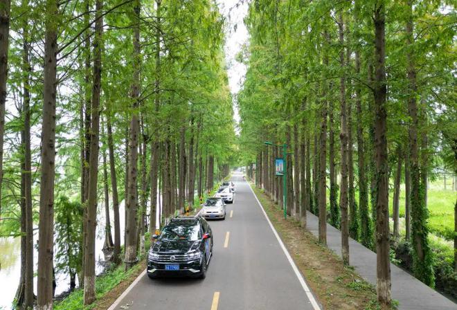 九游体育：2024年滁州市江淮分水岭风景道自驾游大会正式开幕丨第十四届安徽国际文化旅游节(图7)