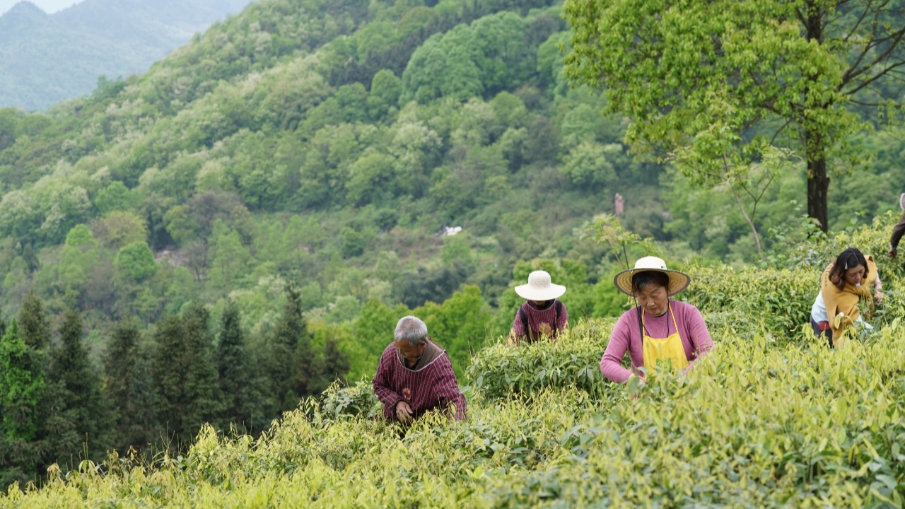 九游app入口：重庆“巴适”江东·1314自驾环线入围全国最美自驾精品路线(图3)