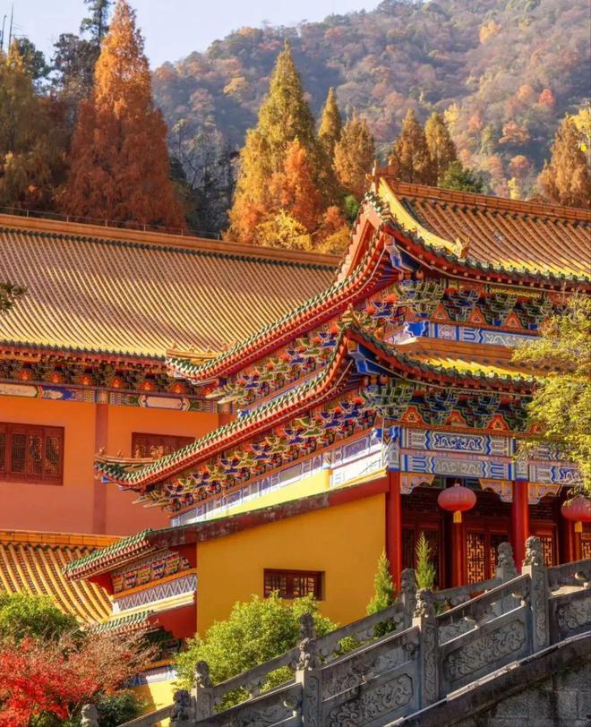 九游app：开往深秋！推荐三条自驾游线哪个是你的心头好～(图17)