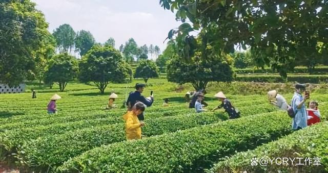 长沙周边踏青自驾游2024(图4)