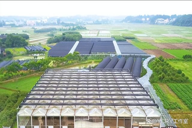长沙周边踏青自驾游2024(图2)