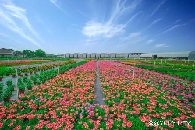 长沙周边踏青自驾游2024(图6)