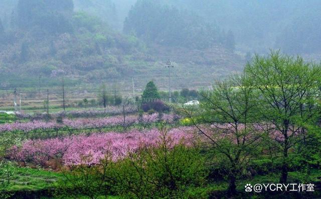 长沙周边踏青自驾游2024(图9)