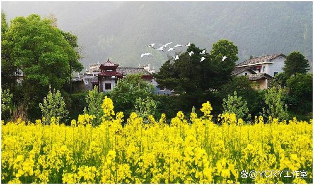 长沙周边踏青自驾游2024(图10)
