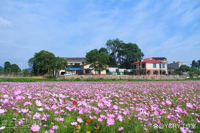 长沙周边踏青自驾游2024(图12)