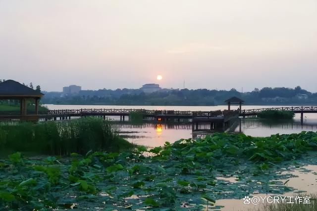 长沙周边踏青自驾游2024(图17)