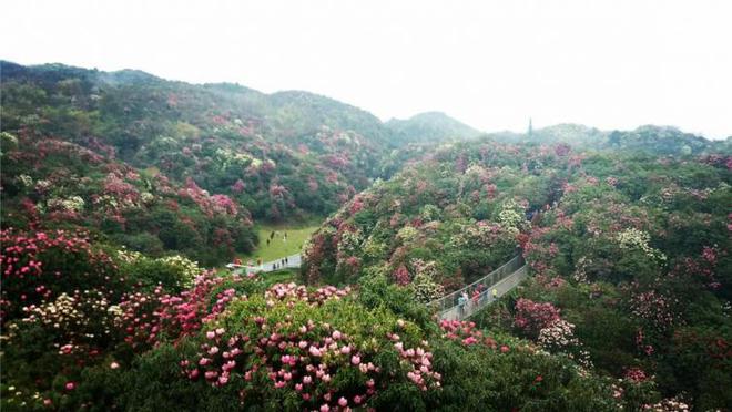 九游体育：贵州出发15个自驾游景点攻略推荐(图8)