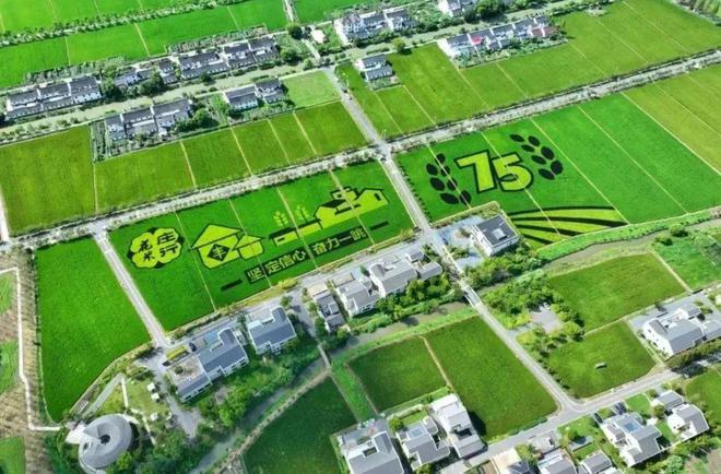 藏不住了！庄行这条郊野骑行路线太美了(图7)