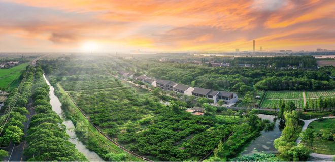藏不住了！庄行这条郊野骑行路线太美了(图5)