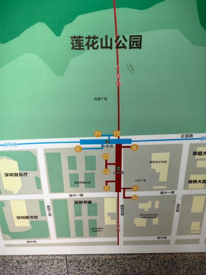 2024深圳莲花山簕杜鹃花展出行攻略！(图1)