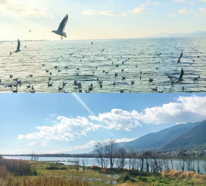 云南什么时候去最好云南旅游攻略五日游联系导游(图1)