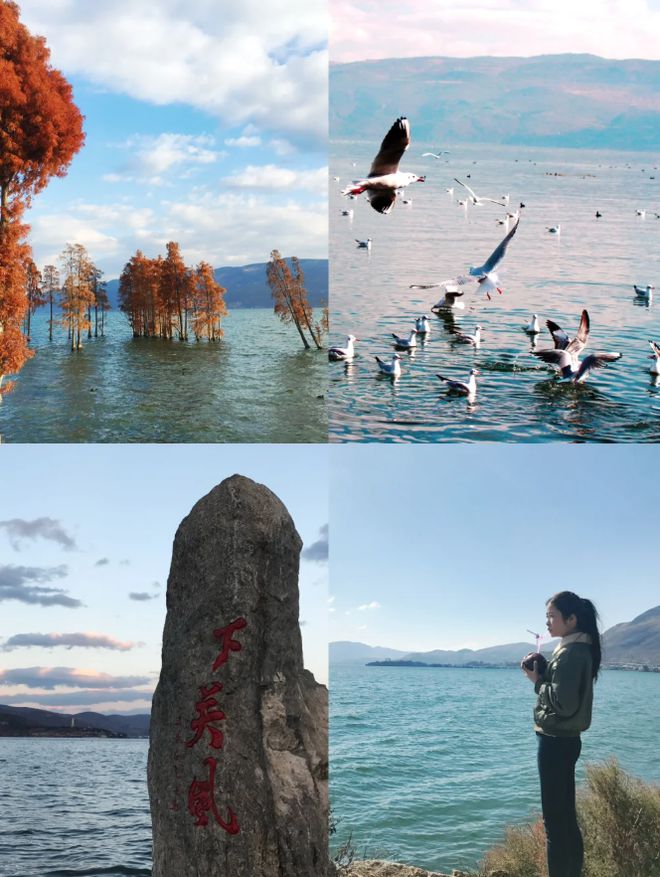 云南什么时候去最好云南旅游攻略五日游联系导游(图4)