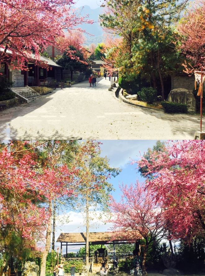 云南什么时候去最好云南旅游攻略五日游联系导游(图6)