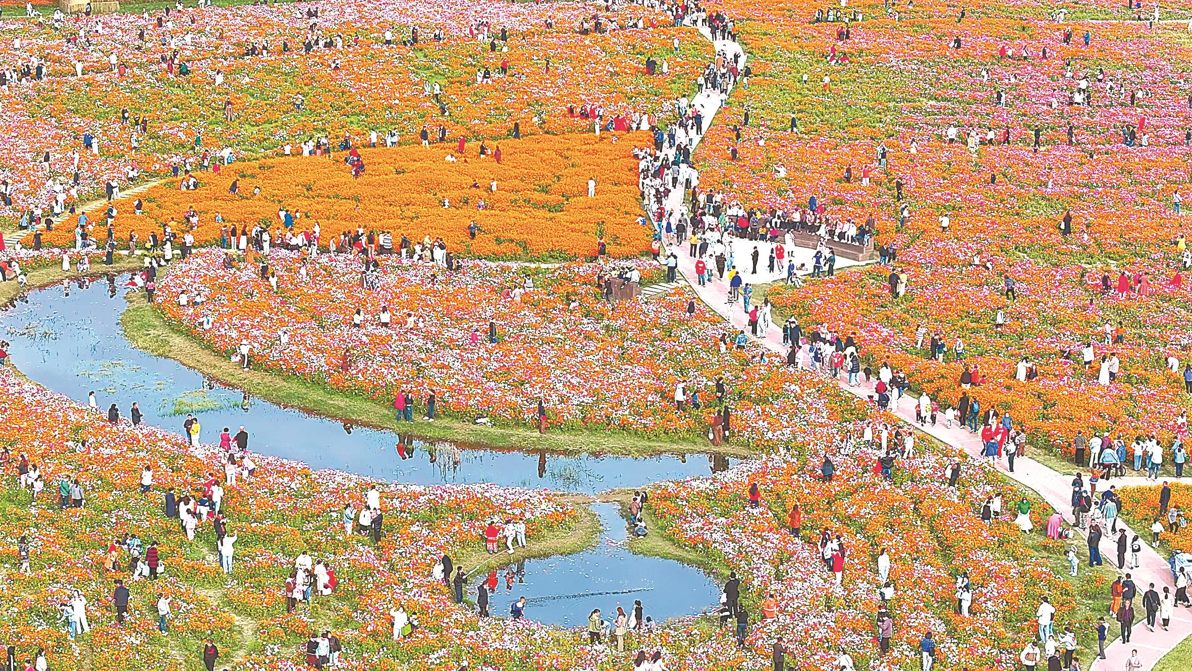 培育新业态新模式打造新场景新亮点(图2)