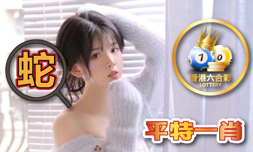 九游app入口：49图库一资料中心49-图库一资料中心安装版V(图1)