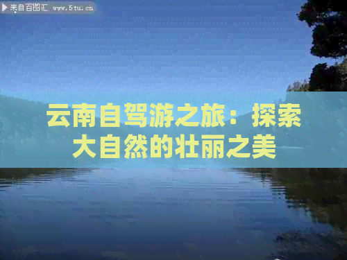 九游app入口：云南自驾游之旅：探索大自然的壮丽之美(图1)