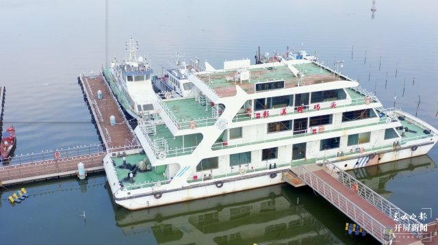 昆明观鸥季“海陆空”全方位攻略来了(图3)