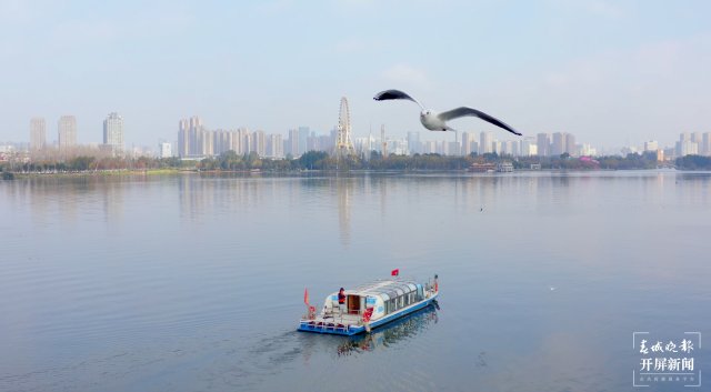 昆明观鸥季“海陆空”全方位攻略来了(图8)