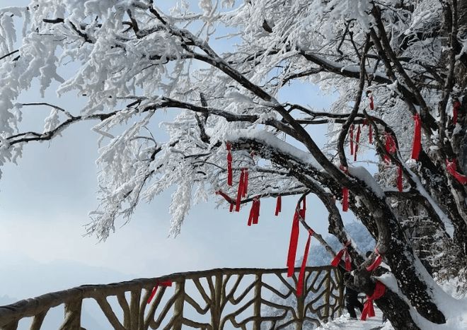 九游app入口：从广东出发张家界五日自驾游：路线、景点美食与费用全攻略(图2)