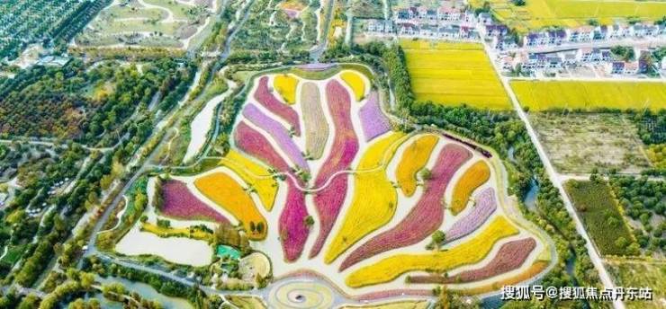 国印东方2025售楼处电话-国印东方首页网站-售楼中心欢迎您楼盘详情(图3)
