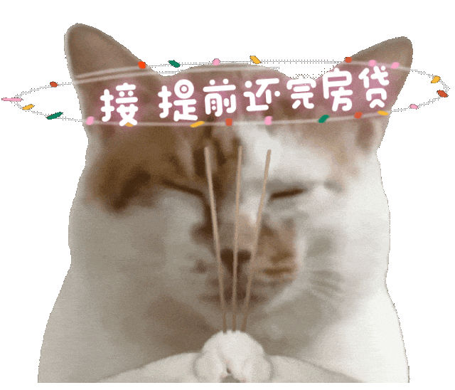 2024我们做到了这些：经常庆功就能成功！(图3)