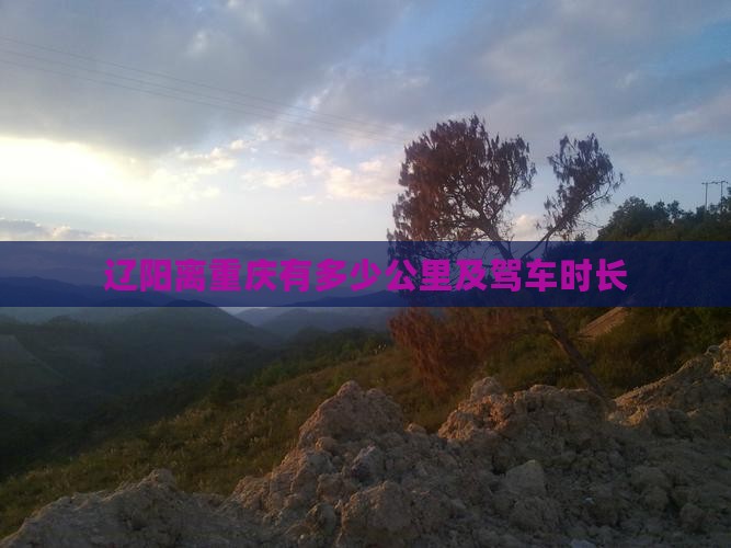 九游app：辽阳离重庆有多少公里及驾车时长(图2)