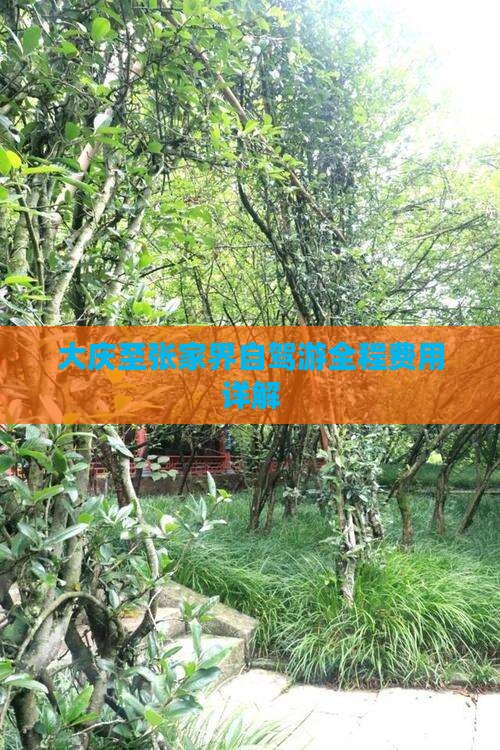 大庆至张家界自驾游全程费用详解(图1)