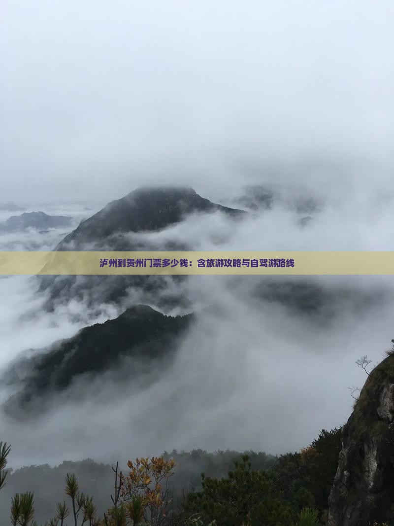 九游app：泸州到贵州门票多少钱：含旅游攻略与自驾游路线(图2)