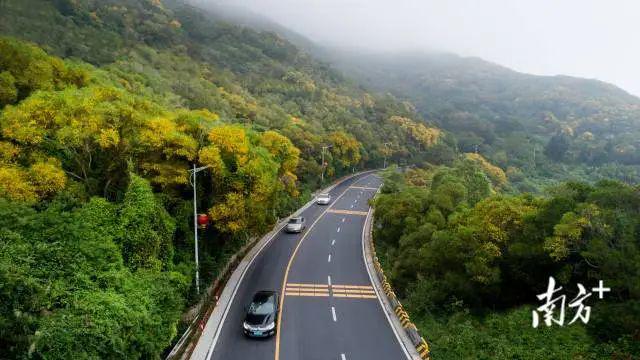 九游体育：广东唯一！南澳环岛公路入选“2024年最美自驾精品路”(图2)
