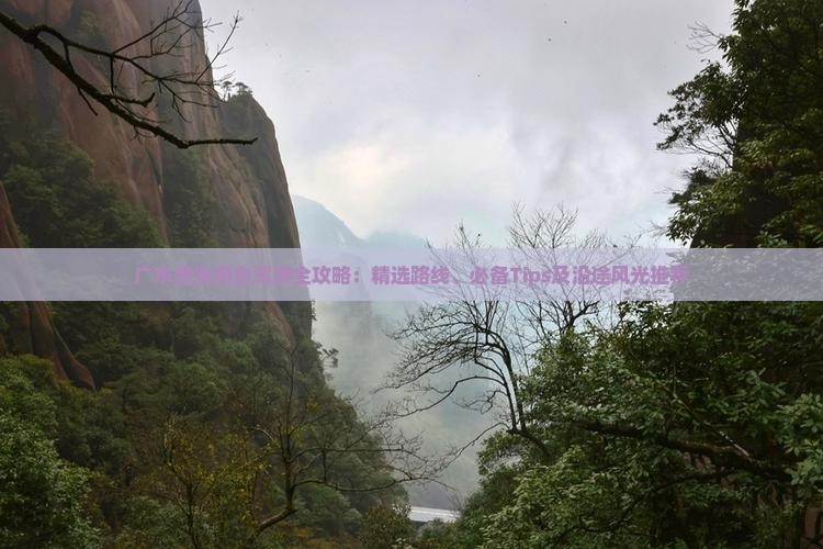 广东至海南自驾游全攻略：精选路线、必备Tips及沿途风光推荐(图4)