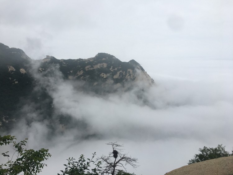 2025年去华山旅游攻略华山自由行必备(图4)