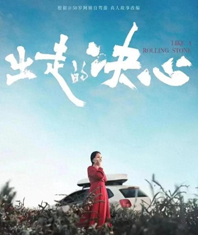 “50岁阿姨”苏敏自驾5年被指面相都变了她到底遭遇了什么？(图1)