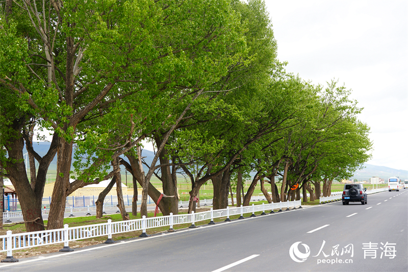 九游体育：青海：生态旅游不止于风景(图4)