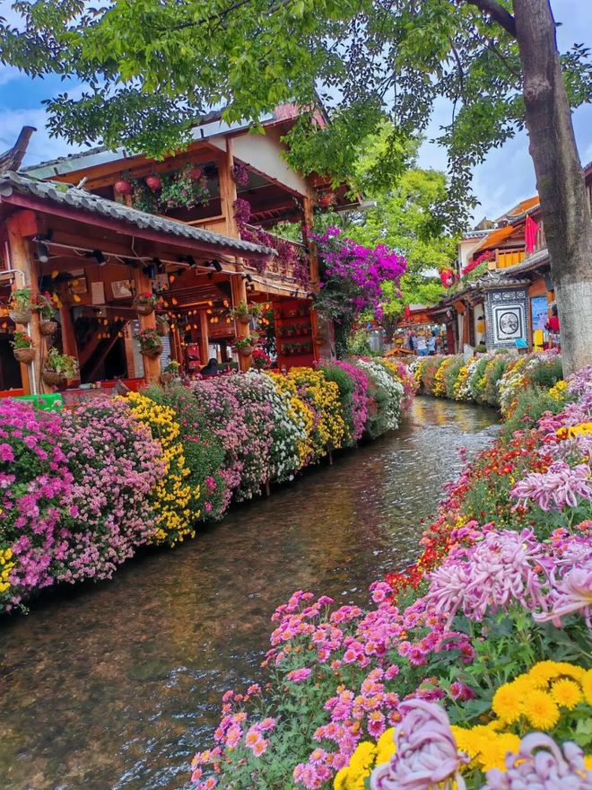 2024云南旅游全攻略：七大必玩景点携手导游小婷畅游仙境(图1)