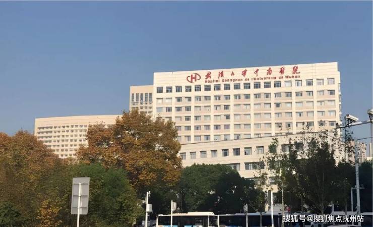 城投金沙府(2024城投金沙府)首页网站-2024年最新房价+户型图+小区环境+折扣优惠(图11)