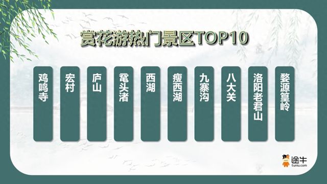 春天的旅张力太浓了南京成清明假期热门旅游目的地(图1)