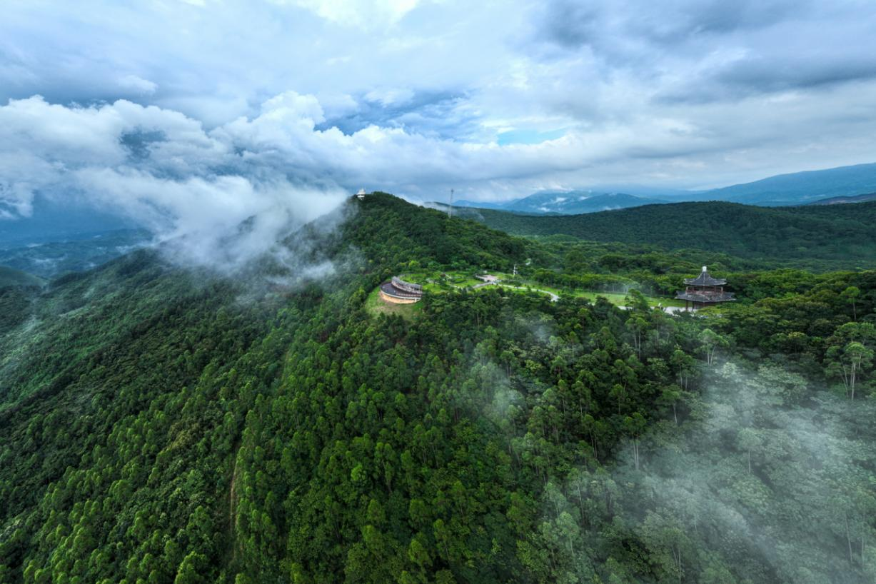 九游app入口：广州增城创新构建五大文旅消费新场景(图1)