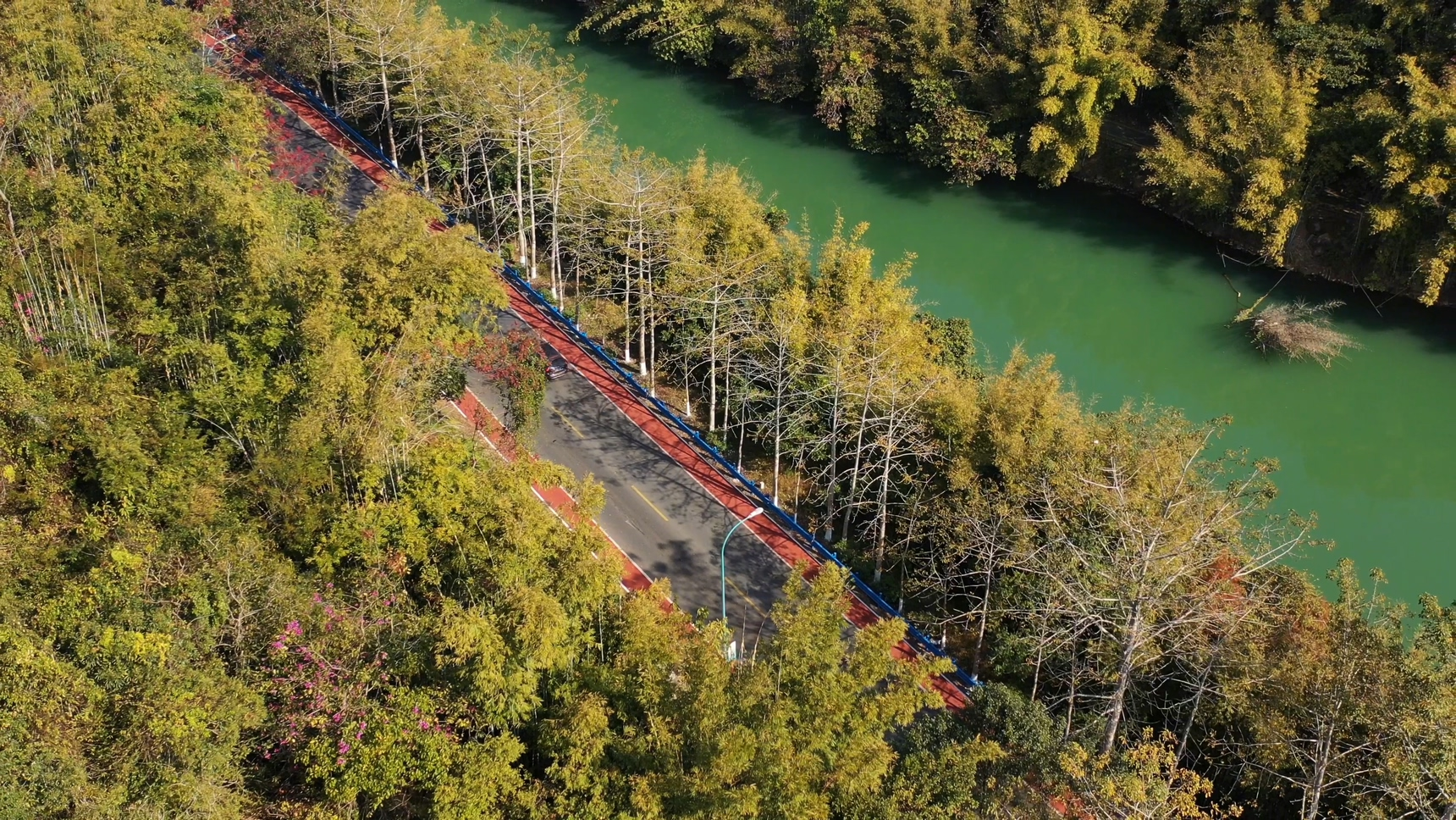 九游app入口：广州增城创新构建五大文旅消费新场景(图4)