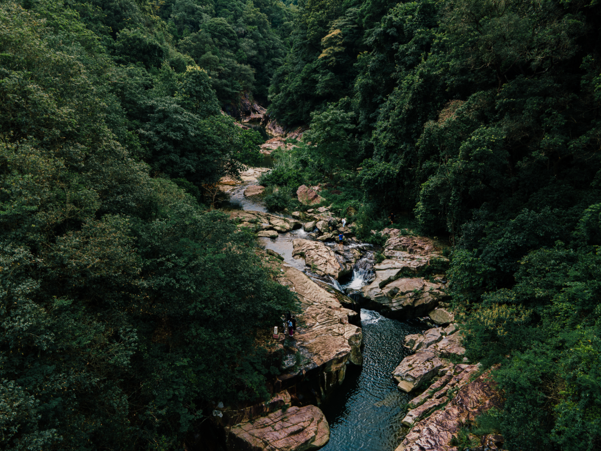 九游app入口：广州增城创新构建五大文旅消费新场景(图6)