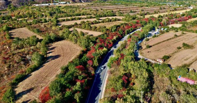 九游app入口：上榜全国最美自驾路！我要去延庆兜风(图4)