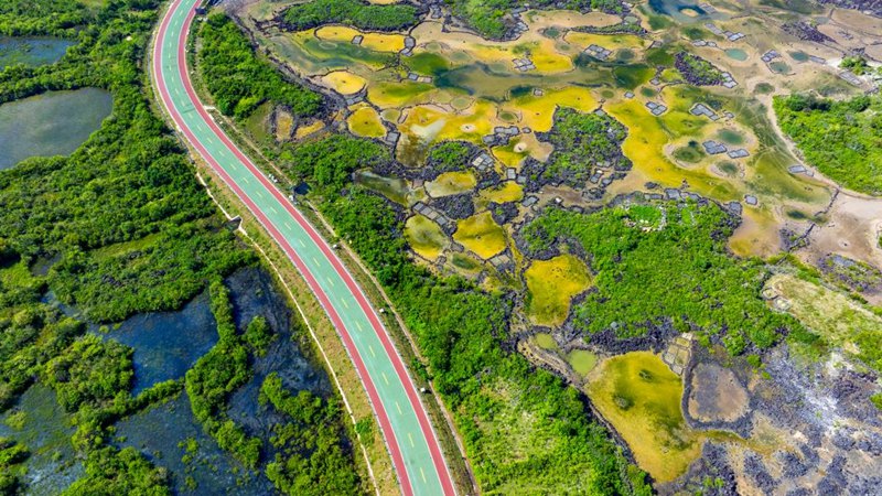 九游app入口：“发现精彩四季不同”海南环岛旅游公路影像大赛（春季）获奖作品公布(图2)
