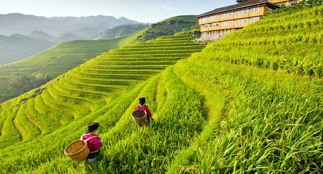 2025桂林旅游省钱防骗纯玩攻略大全(图1)