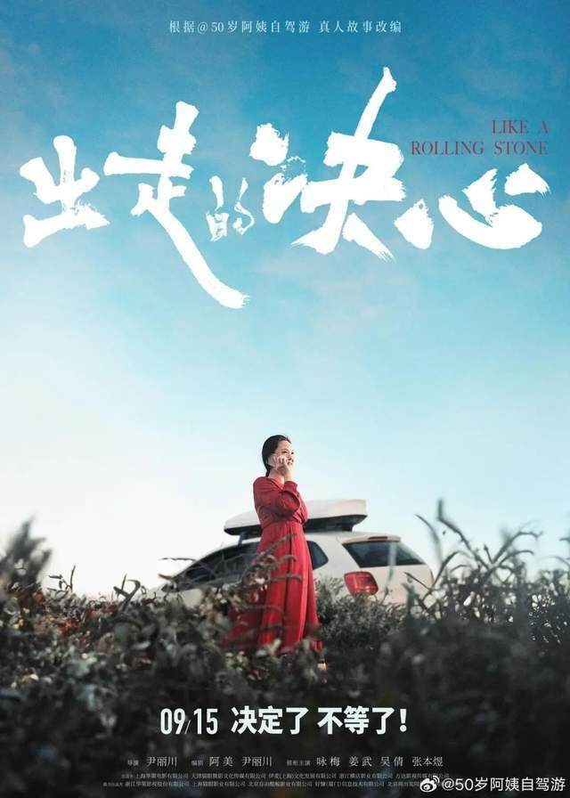 “50岁自驾游”的苏敏阿姨走到了戛纳红毯(图4)